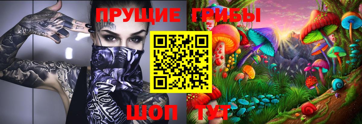 Псилоцибиновые грибы Psilocybine cubensis Анжеро-Судженск