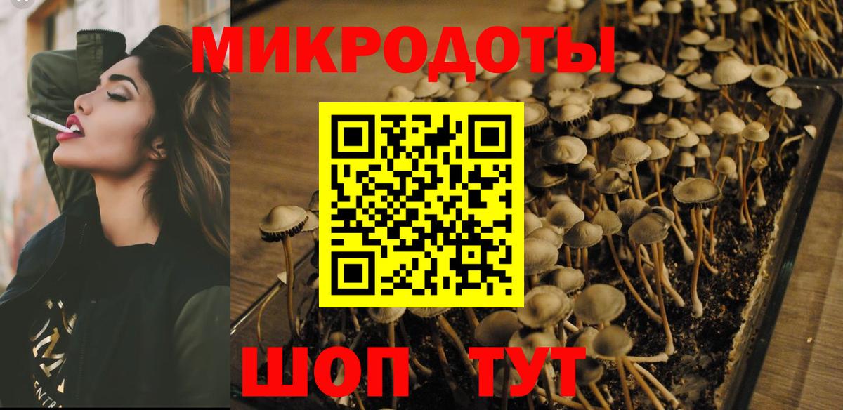 Анжеро-Судженск  что такое наркотик  Псилоцибиновые грибы мицелий  Вход с VPN  Псилоцибиновые грибы мицелий 