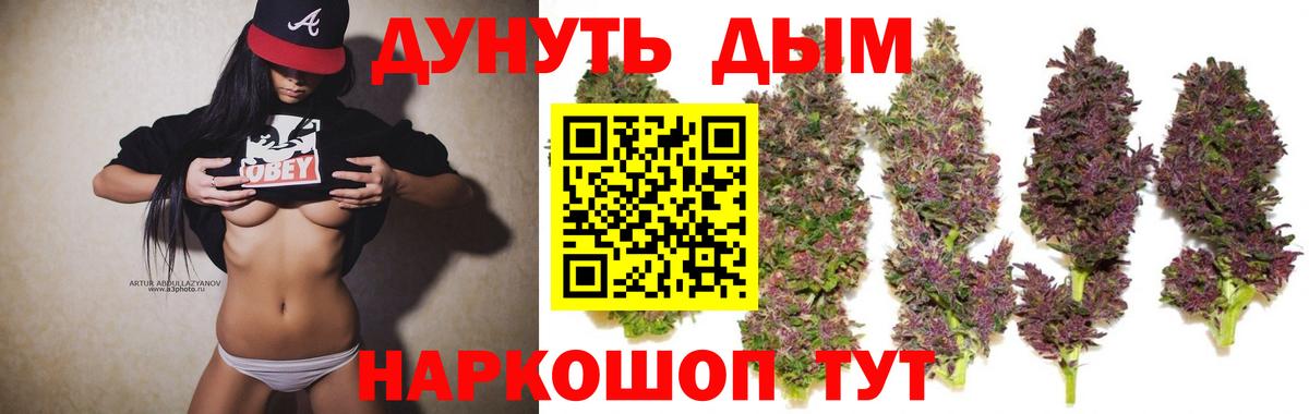 Марихуана OG Kush  Конопля семена  Бошки марихуана конопля  Вход с VPN  Анжеро-Судженск  Каннабис сатива 